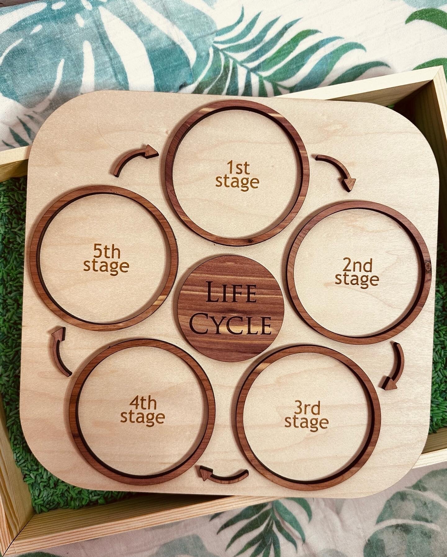 Life Cycle Board - 5 stages